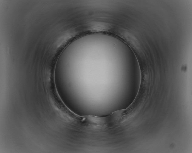X0000093570539200710151129