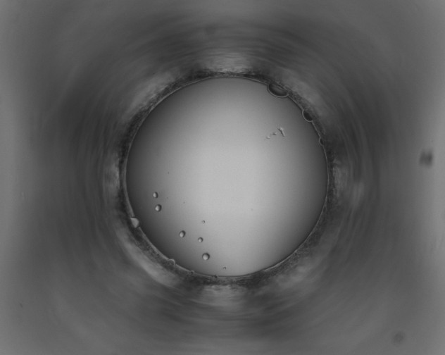 X0000093570541200710151129