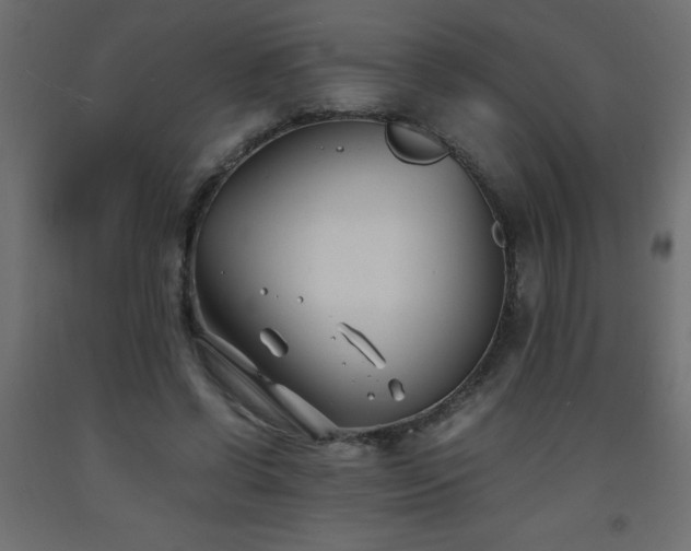 X0000093570542200710151129