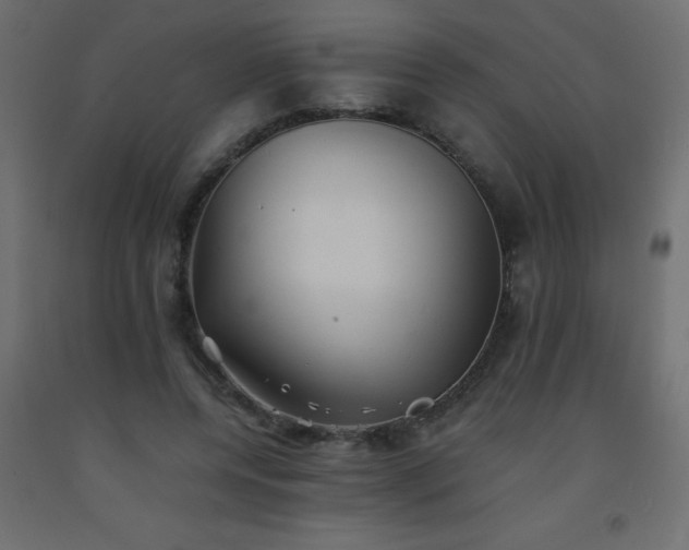 X0000093570544200710151129
