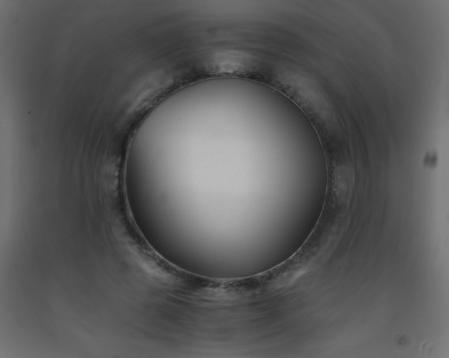 X0000093570545200710151129