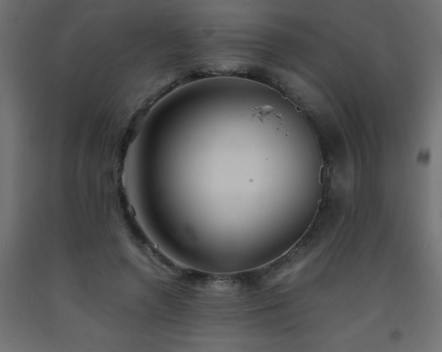 X0000093570546200710151129