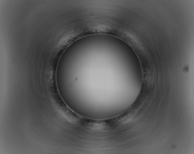 X0000093570548200710151129