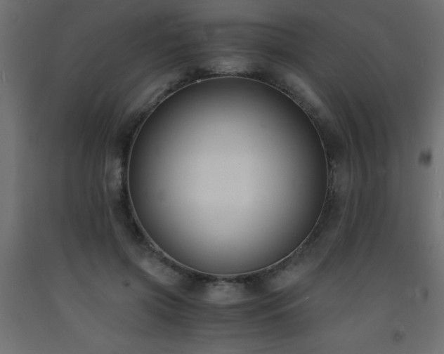X0000093570549200710151129