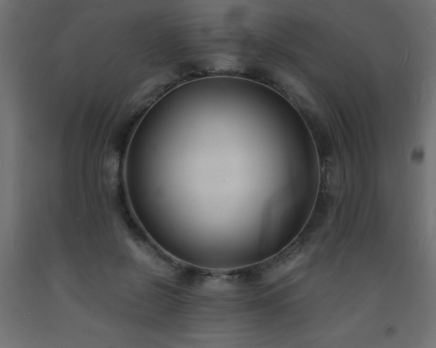 X0000093570550200710151129
