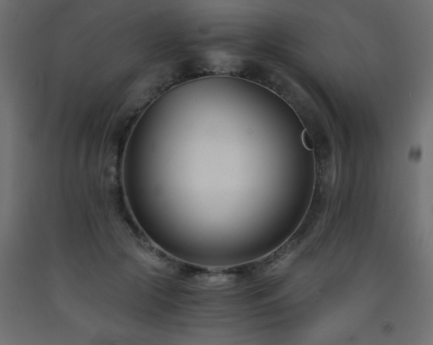 X0000093570553200710151130