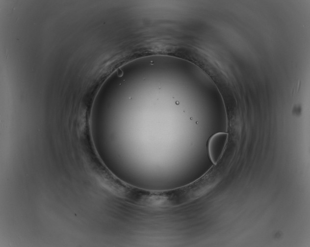 X0000093570554200710151130