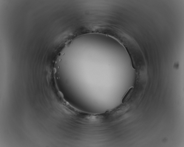 X0000093570558200710151130