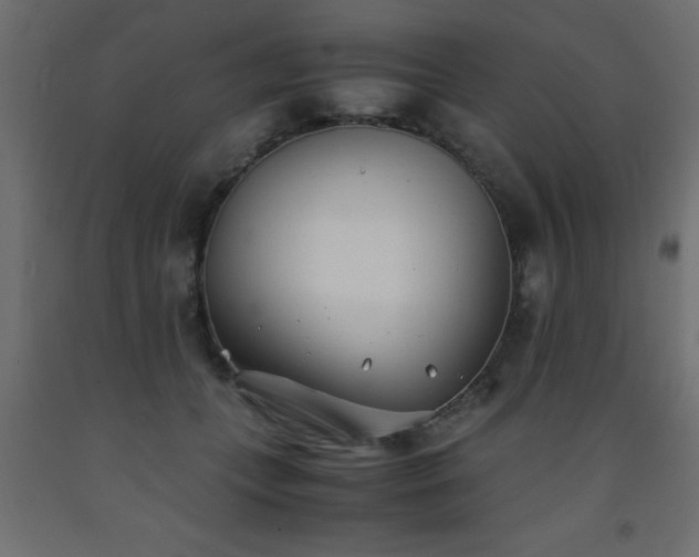 X0000093570559200710151130