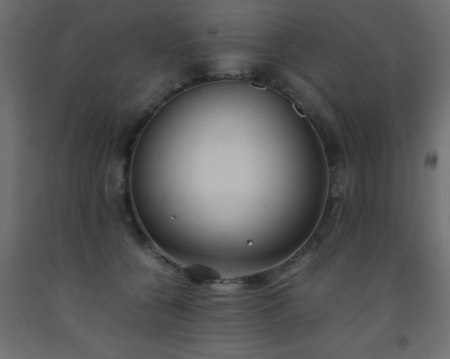 X0000093570560200710151130