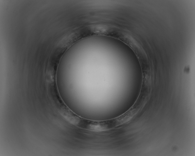 X0000093570561200710151130