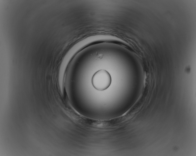 X0000093570564200710151130