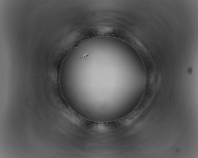 X0000093570565200710151130