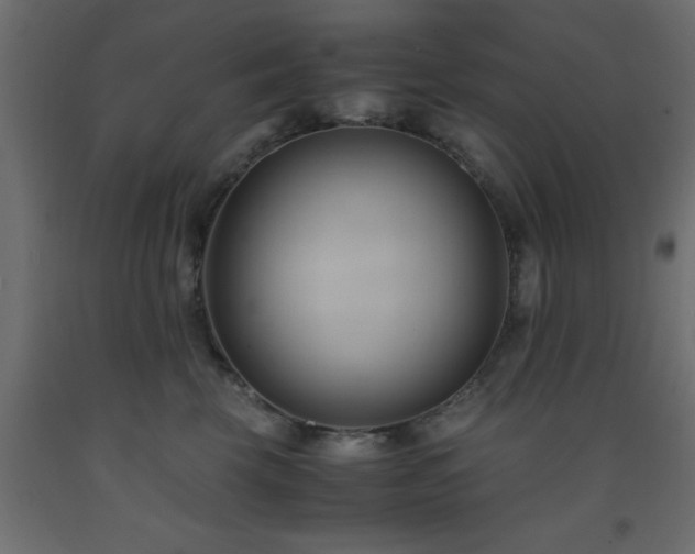 X0000093570569200710151130