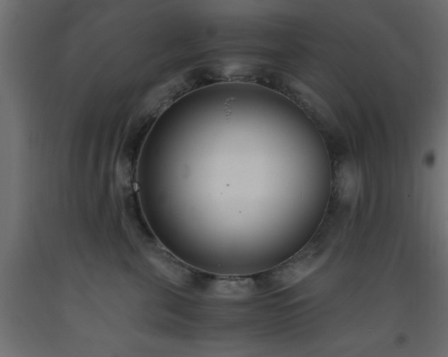 X0000093570571200710151130