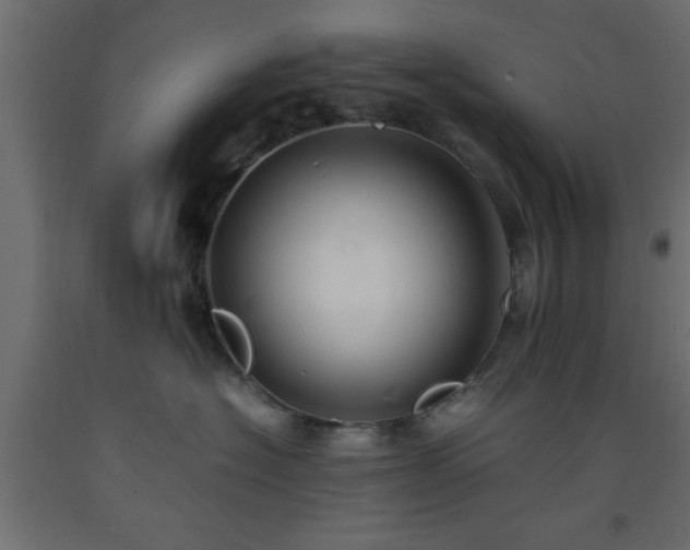 X0000093570574200710151130