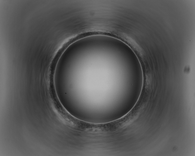 X0000093570580200710151129