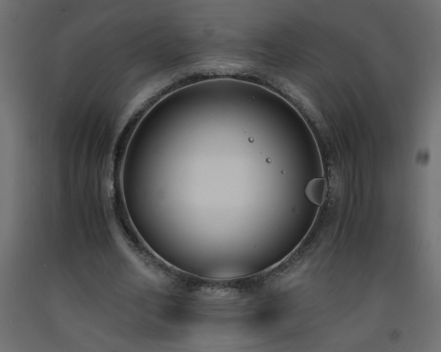 X0000093570582200710151129