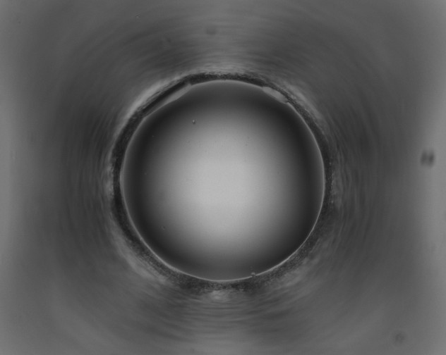X0000093570584200710151129