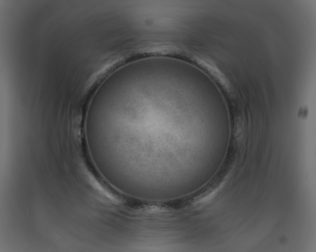 X0000093570585200710151129