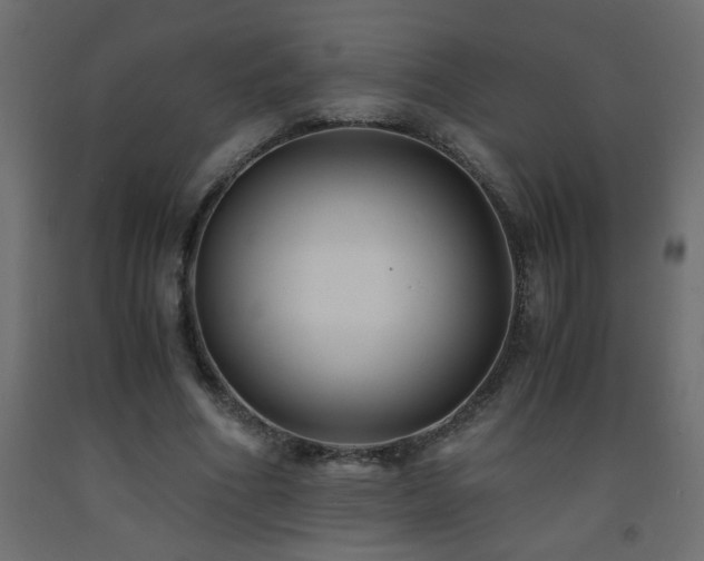 X0000093570586200710151129