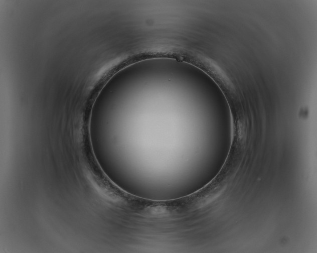 X0000093570588200710151129
