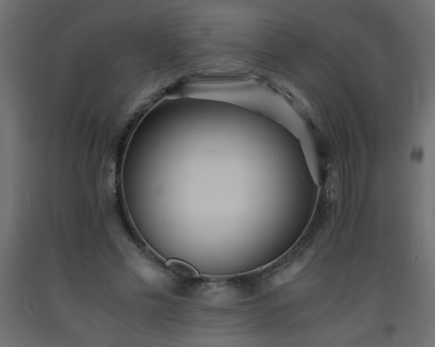 X0000093570589200710151129