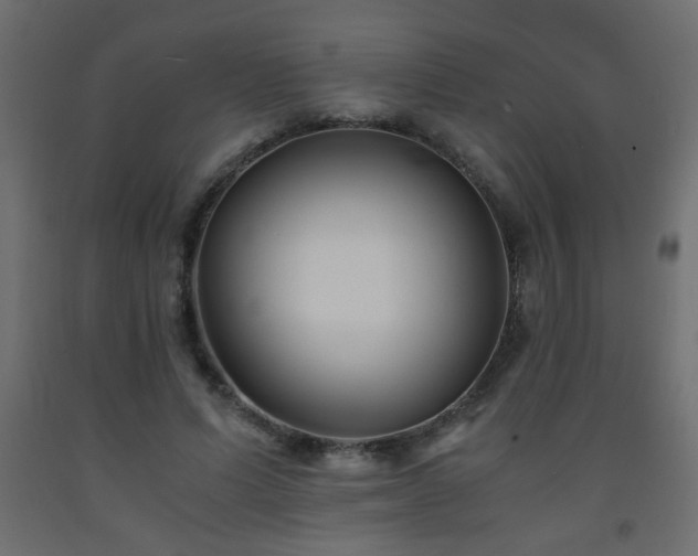 X0000093570591200710151129