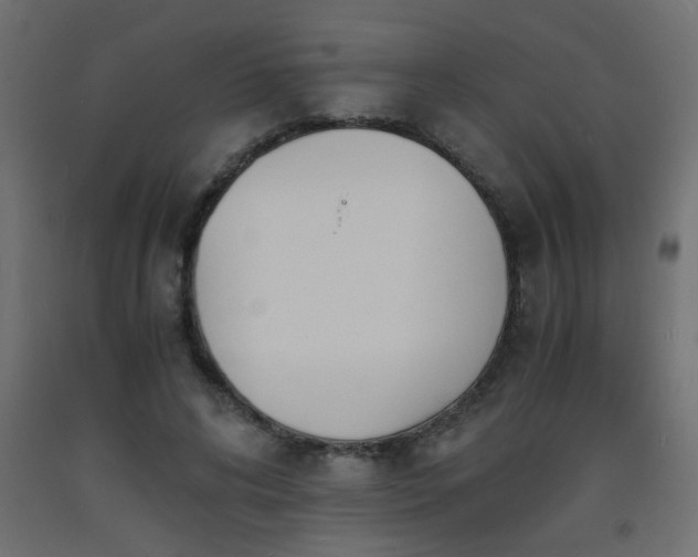 X0000093570592200710151129