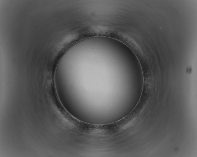 X0000093570593200710151129