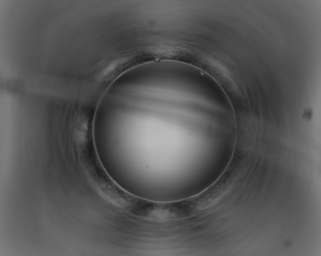X0000093570596200710151129