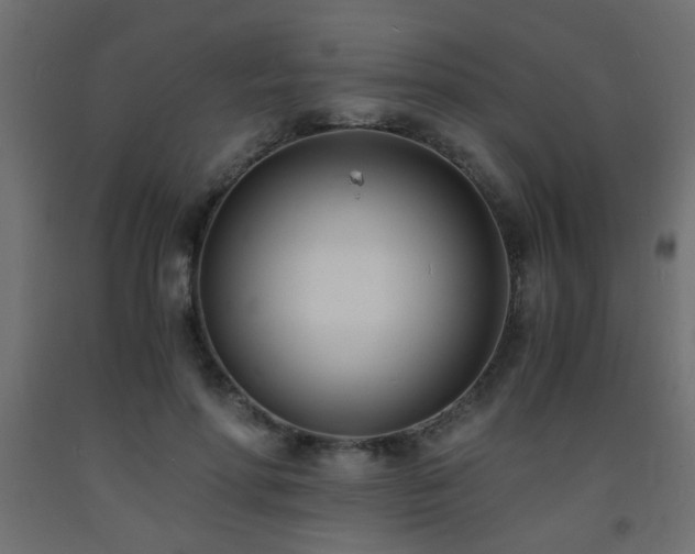 X0000093570598200710151129