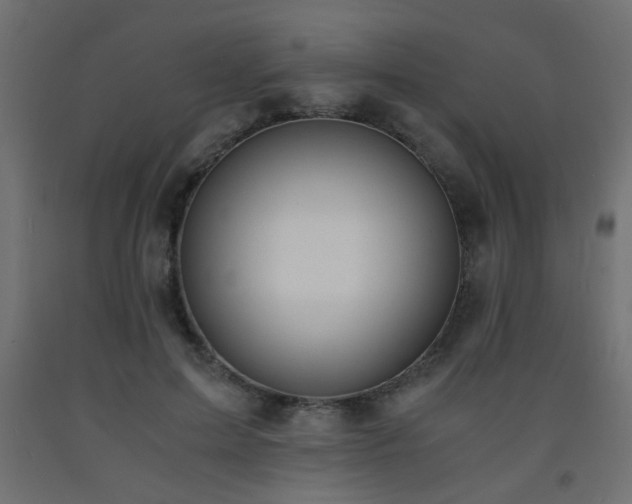 X0000093570599200710151129