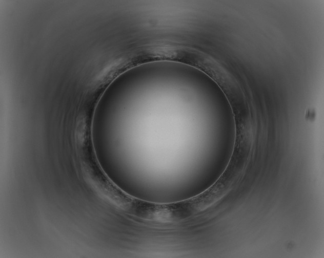 X0000093570600200710151129