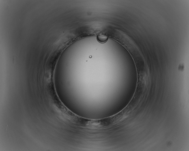 X0000093570602200710151129