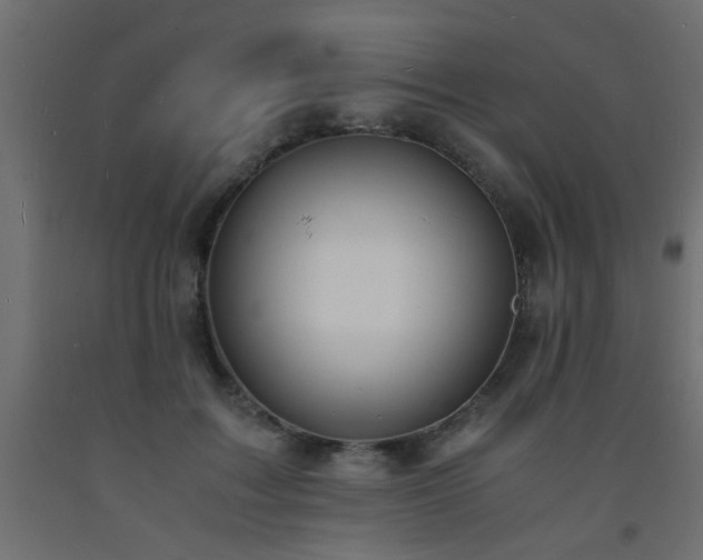 X0000093570603200710151129