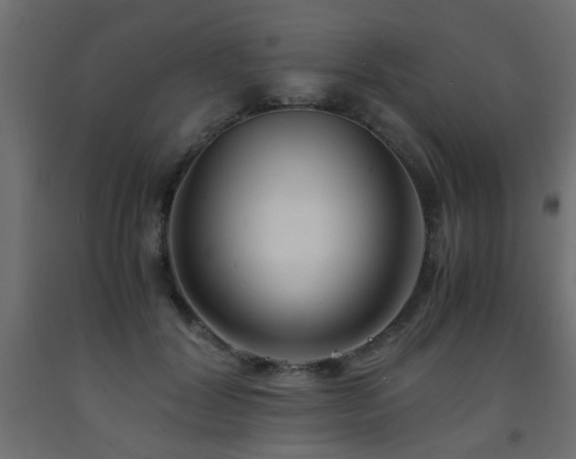 X0000093570604200710151129