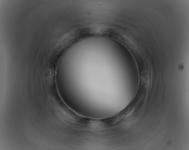 X0000093570605200710151129