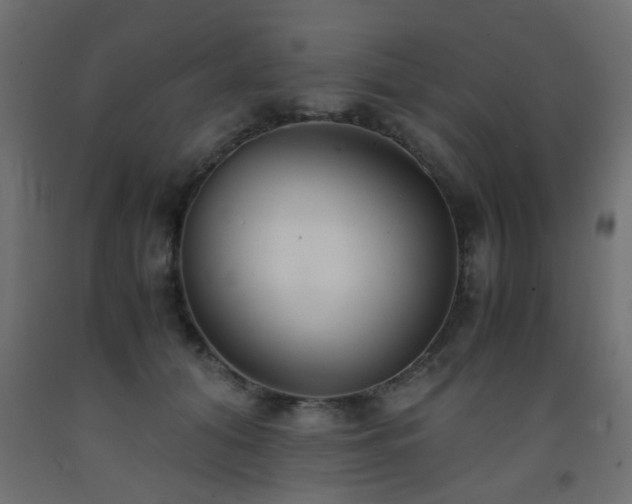 X0000093570608200710151129