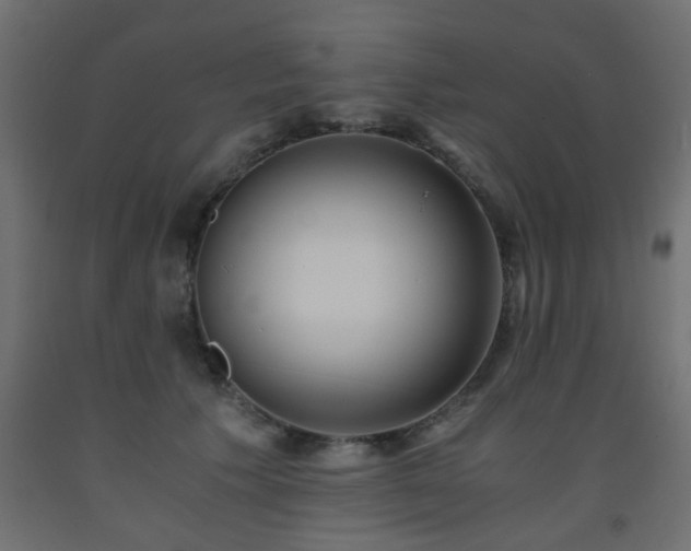 X0000093570609200710151129