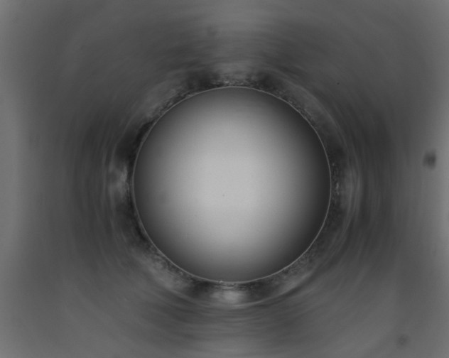 X0000093570610200710151129