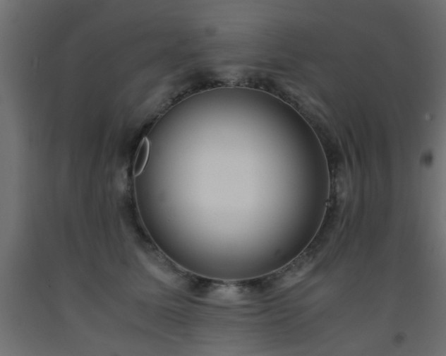 X0000093570611200710151129