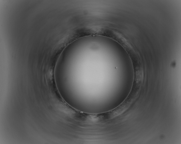 X0000093570613200710151129