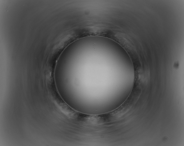 X0000093570615200710151129