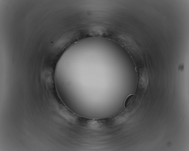 X0000093570616200710151129