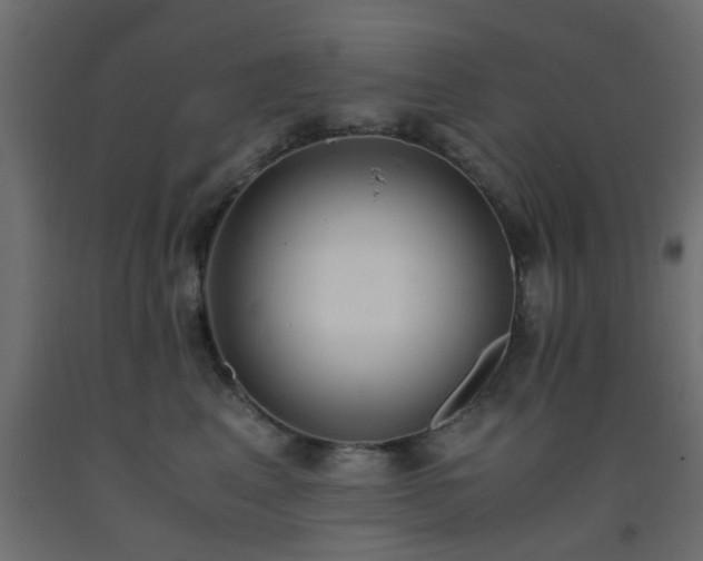 X0000093570617200710151129