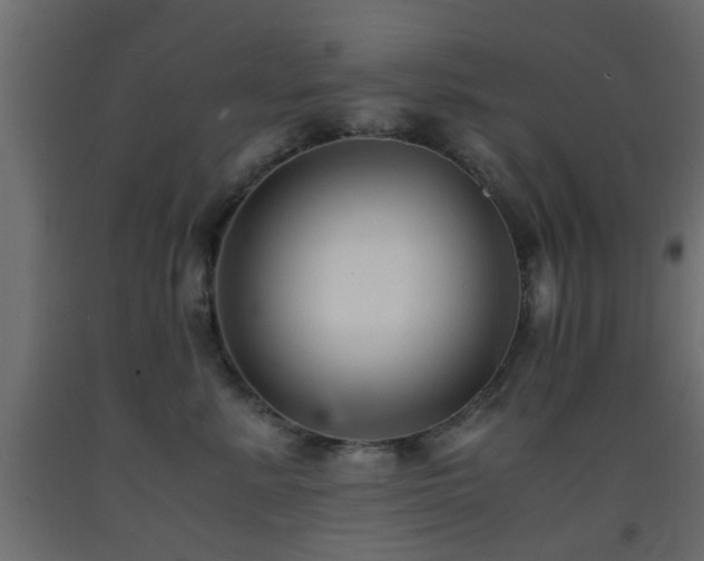 X0000093570619200710151129
