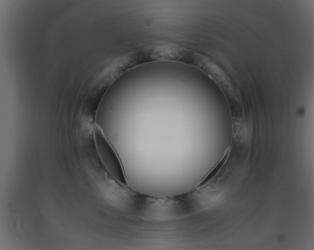X0000093570621200710151129