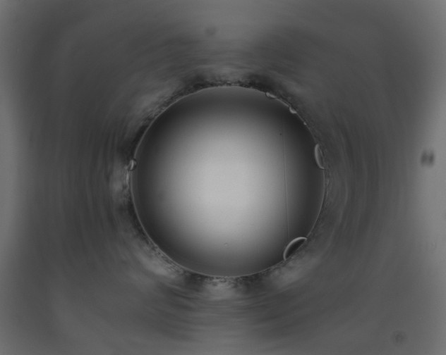 X0000093570624200710151129