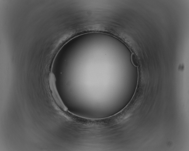 X0000093570625200710151128